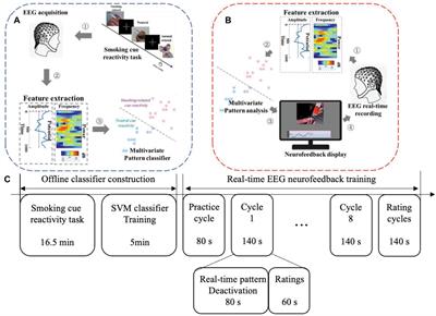 A Novel Cognition-Guided Neurofeedback BCI Dataset on Nicotine Addiction